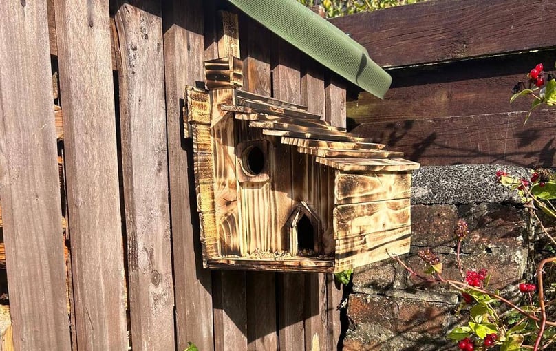 birdhouse in place (1)